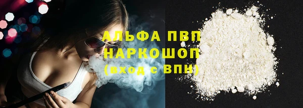 крисы Алексин