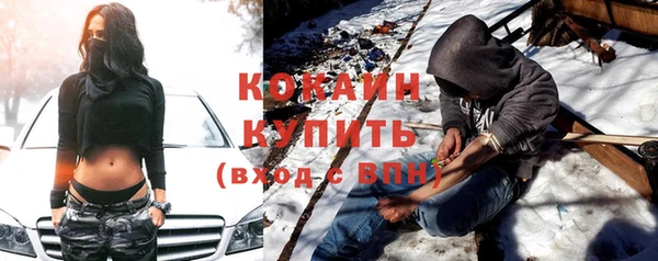 крисы Алексин